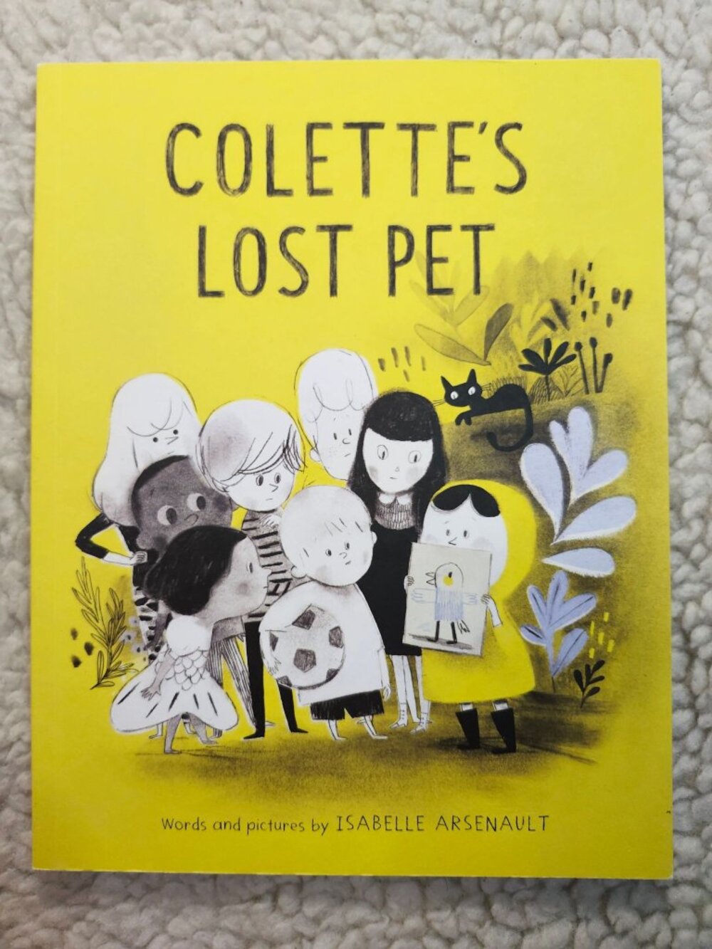 Colette's Lost Pet Paperback Isabelle Arsenault Tundra 2017 Picture Book Kids